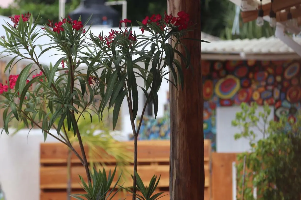 Wabi Hostel Playa del Carmen Mexico